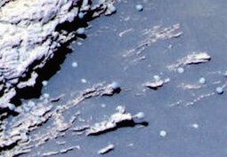 thumbnail of Specimens-resembling-Lichens-Mushrooms-photographed-in-Eagle-Crater-by-the-Mars-rover.png