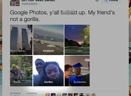 thumbnail of googlephotosgorillas.webp