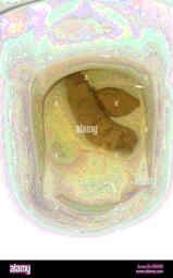 thumbnail of u1Hra.jpg