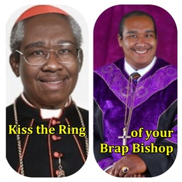 thumbnail of Kiss the Ring of our Brap Bishop.jpg