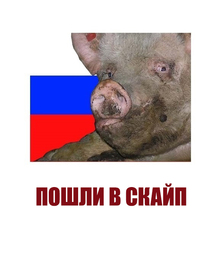 thumbnail of СКАЙП.jpg