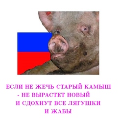 thumbnail of Если не жечь камыш.jpg