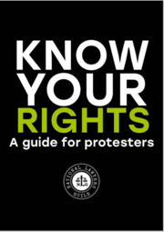 thumbnail of Know Your Rights_NLG_A15Action.PNG