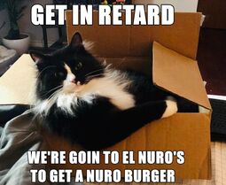 thumbnail of Nuro burger cat.jpg