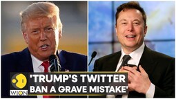 thumbnail of Elon Musk calls Donald Trump's Twitter ban 'a grave mistake'; reinstates account after poll _ WION (BQ).jpg