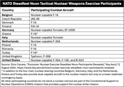 thumbnail of SteadfastNoonParticipants.png