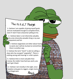 thumbnail of neet pledge.PNG