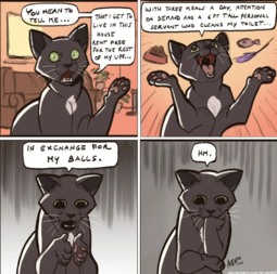 thumbnail of unknown.png