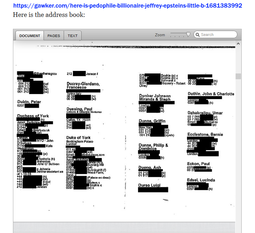 thumbnail of Epstein black book.png