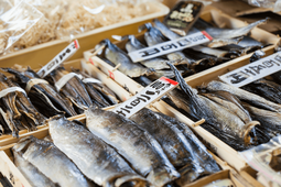thumbnail of tsukiji-fish-market-tokyo-japan-1140.png