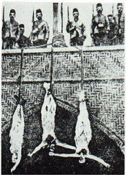thumbnail of armenians-hanged-upside-down.jpeg