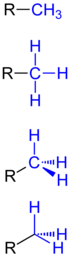 thumbnail of Methyl_Group_General_Formulae_V.1.png