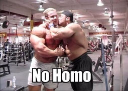 thumbnail of no homo.jpg