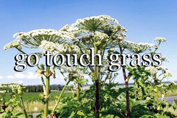thumbnail of go touch grass.jpg