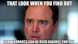 thumbnail of schiff-look-find-out.jpg