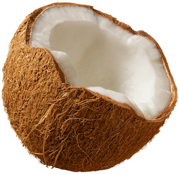 thumbnail of coconut.jpg