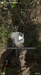 thumbnail of 2024-10-18_Book of Revelation__NC.mp4