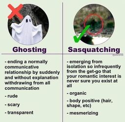 thumbnail of sasquatching.jpg