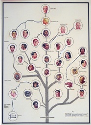 thumbnail of race_evolution_tree.jpg