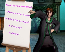 thumbnail of 5 facts about merula.jpg