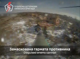 thumbnail of 5363445.mp4