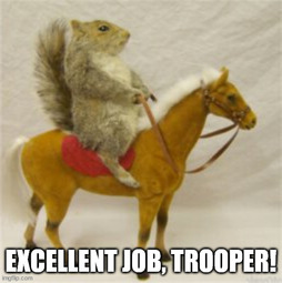 thumbnail of squirrelScout4.jpg