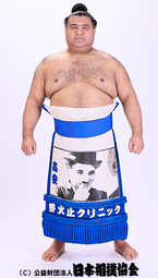 thumbnail of Takayasu_2025.jpg