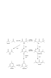 thumbnail of Reaction-scheme-of-the-aldol-condensation-of-acetone-1799227579.png