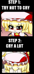 thumbnail of Flan try not to cry a lot.png