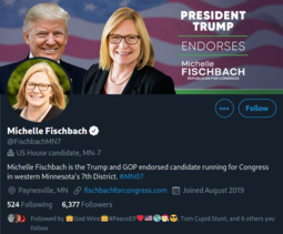 thumbnail of Screenshot_2020-10-27 Michelle Fischbach ( FischbachMN7) Twitter.png