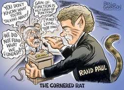 thumbnail of Ben Cartoon 07212021_1 cornered rat fauci.png