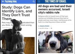 thumbnail of liar dogs.jpg