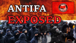 thumbnail of Antifa.webm