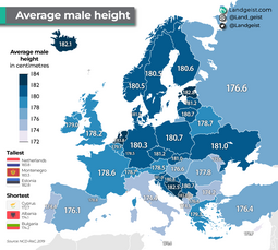 thumbnail of europe-male-height[1].png