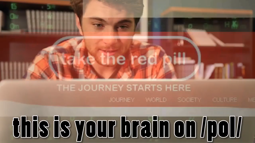 thumbnail of your brain on pol.mp4