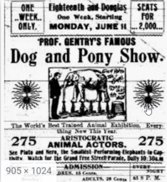 thumbnail of dog and pony show.png