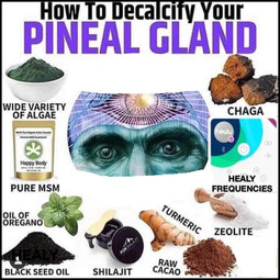 thumbnail of decalcify your mind.jpg