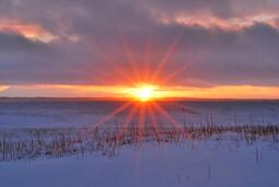 thumbnail of Winter solstice.jpg