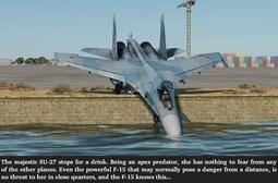 thumbnail of the_majestic_su27_having_a_drink_2.jpg