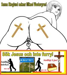 thumbnail of sokjesusintefurry_6711765fddf2b3637bfbef88.jpg