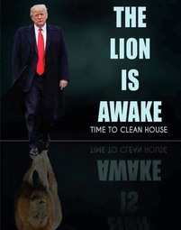 thumbnail of lion-awake-clean-house.jpg
