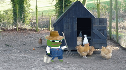 thumbnail of Pepe Chickens 02012023.png