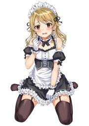 thumbnail of maid4.jpg