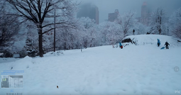 thumbnail of NY~Central Park.png