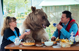 thumbnail of stepanthebear.png