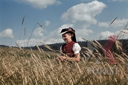 thumbnail of stock-photo-young-woman-in-traditional-costume-in-a-field-germany-1938-13091.jpg