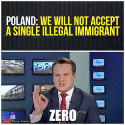 thumbnail of Poland Zero illegal immigrants.jpg