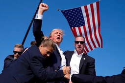 thumbnail of triumphant trump 1.jpg