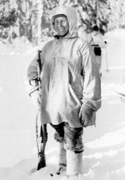 thumbnail of Simo_hayha_honorary_rifle.jpg