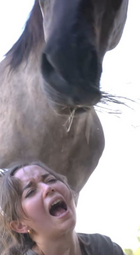 thumbnail of 1690419388866922.png